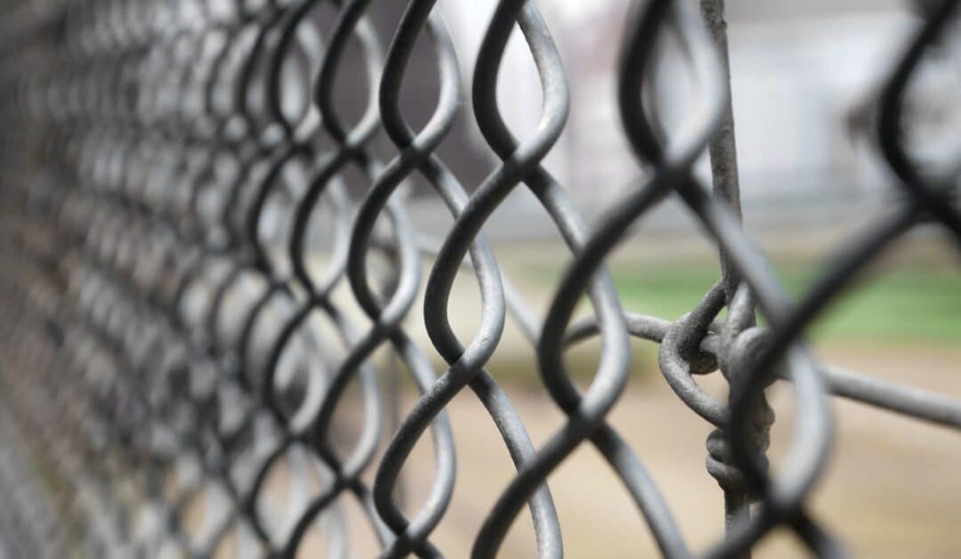 Why Is Chain Link Fencing Considered the Premier Fencing?