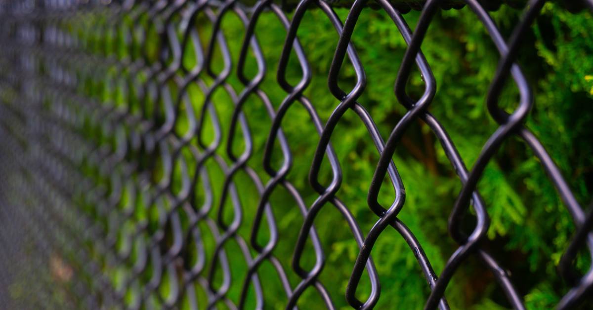 A black chain link fence that extends until it becomes a blur. Behind it is bright green vegetation.